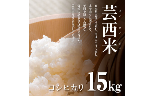 先行予約 新米 コシヒカリ 15kg (5kg×3袋) 芸西米 げいせいまい 令和6年産 15キロ 米 こめ コメ こしひかり 精米 白米 お米 おこめ ご飯 国産 通販 お取り寄せ 送料無料