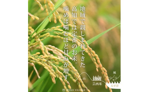 先行予約 新米 コシヒカリ 15kg (5kg×3袋) 芸西米 げいせいまい 令和6年産 15キロ 米 こめ コメ こしひかり 精米 白米 お米 おこめ ご飯 国産 通販 お取り寄せ 送料無料