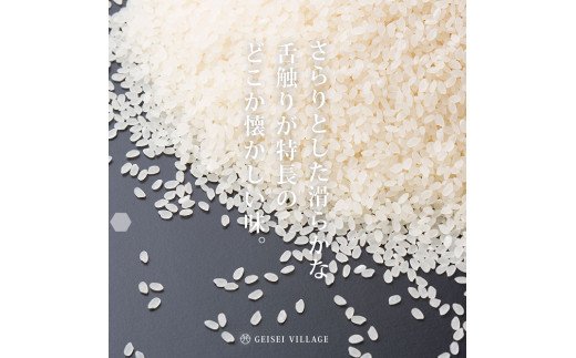 先行予約 新米 コシヒカリ 15kg (5kg×3袋) 芸西米 げいせいまい 令和6年産 15キロ 米 こめ コメ こしひかり 精米 白米 お米 おこめ ご飯 国産 通販 お取り寄せ 送料無料