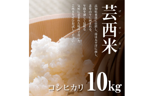 先行予約 新米 コシヒカリ 10kg (5kg×2袋) 芸西米 げいせいまい 令和6年産 10キロ 米 こめ コメ こしひかり 精米 白米 お米 おこめ ご飯 国産 通販 お取り寄せ 送料無料