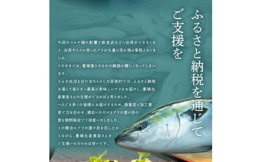 緊急支援 海鮮「ブリの漬け丼の素」1食80g×10P《迷子の鰤を食べて応援 養殖生産業者応援プロジェクト》応援 順次出荷中 惣菜 そうざい冷凍 保存食 小分け パック 高知 海鮮丼 一人暮らし〈高知市共通返礼品〉