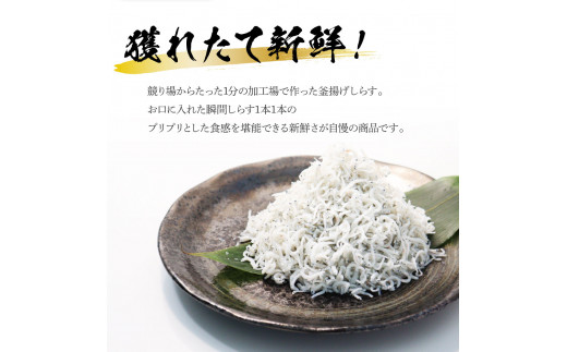 《6ヶ月定期便》高知県産釜揚げしらす×8パック 定期便 定期コース 6回 簡易梱包 小分け 国産 釜揚げ シラス丼 海鮮丼 ゆず付 お茶漬け 軍艦巻き 手巻き寿司 冷凍配送 おかず お取り寄せ