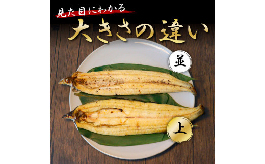 高知ブランド鰻「西岡うなぎ」《上》うなぎの白焼き2尾セット（約330g） オリジナルタレ・山椒付き 国産 ウナギ 鰻 冷凍配送 高知県産 うな重 丼 大きい 自宅用 家庭用