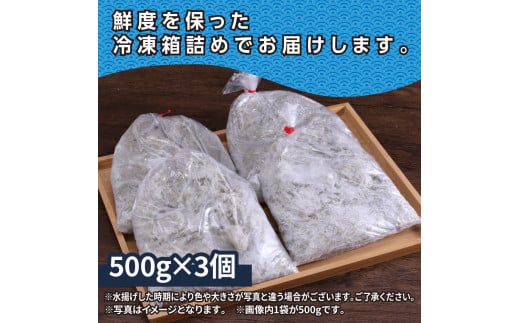 訳あり釜揚げシラス500g×3個 高知県産 釜揚げしらす 簡易梱包 わけあり 不揃い シラス 国産 釜揚げ 新鮮 しらす丼 海鮮丼 お茶漬け 冷凍配送 塩分控えめ お取り寄せ