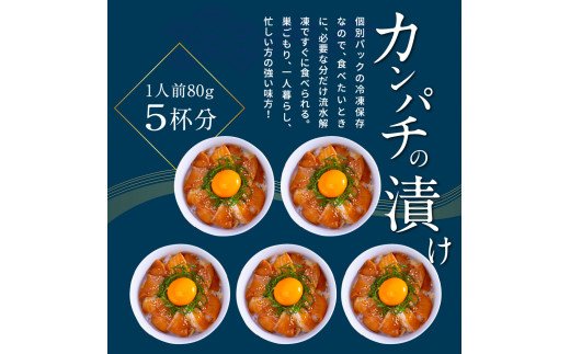 高知の海鮮丼の素「かんぱちの漬け丼の素」1食80g×5P 勘八 カンパチ 惣菜 そうざい 冷凍 保存食 海鮮 小分け パック 本場 高知 海鮮丼 パパッと 簡単 一人暮らしコロナ 緊急支援〈高知市共通返礼品〉