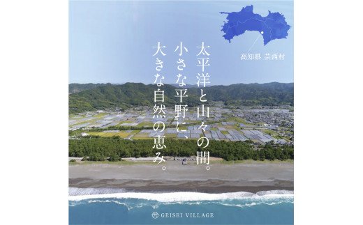 朝どれ！ 野菜詰合せ／芸西村で採れた新鮮な野菜6～8種類をお届けします。特産品 ピーマン ナス こだわりの栽培方法 環境に優しい 安全で安心な野菜づくり  支援品