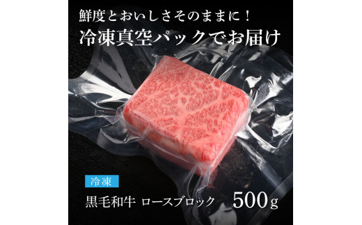 天下味 長期熟成肉 エイジングビーフ 黒毛和牛 ロース肉ブロック 500ｇ 国産 A5 黒毛和牛 牛肉 ブロック 肉 人気 老舗焼肉店 冷凍 新鮮 真空パック 美味しい ローストビーフ ステーキ 贅沢 お祝い 高知 芸西村 返礼品 故郷納税 贈り物 贈答 ギフト 19000円