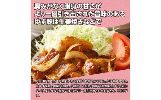 なはりゆず豚セット 4.5kg - 豚バラ ロース モモ 挽き肉 ひき肉 豚 豚肉 国産 詰め合わせ セット 冷凍 料理 おうちごはん 個包装 41000円 高知県産 高知