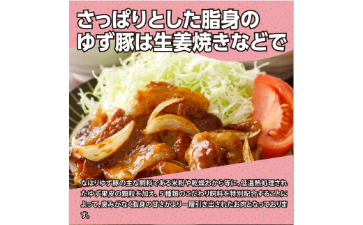 なはりゆず豚満喫セット 1.15kg - 豚バラ ロース モモ 肩ロース 挽き肉 ひき肉 豚 豚肉 国産 詰め合わせ セット 冷凍 料理 おうちごはん 個包装 13000円 高知県産 高知