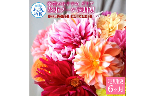 《6ヵ月定期便》 ダリア 花束 初回花瓶付 定期便 定期コース 全6回 延命剤付き ラッピング 花びん 生花 花束 ブーケ 花 お花 可愛い キレイ おしゃれ 供花 お供え ギフト プレゼント