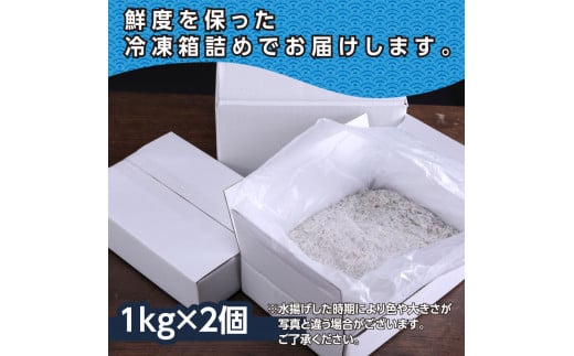 訳あり釜揚げシラス1kg×2個 高知県産 釜揚げしらす 簡易梱包 わけあり 不揃い シラス 国産 釜揚げ 新鮮 しらす丼 海鮮丼 お茶漬け 冷凍配送 塩分控えめ お取り寄せ