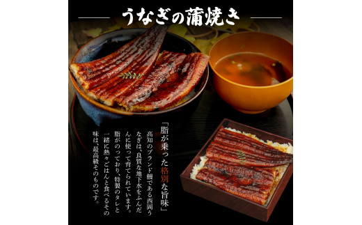 高知ブランド鰻「西岡うなぎ」《上》うなぎの蒲焼き・白焼き2尾セット（約330g） オリジナルタレ・山椒付き 国産 ウナギ 鰻 冷凍配送 高知県産 うな重 丼 大きい 自宅用 家庭用