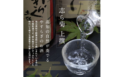 志ら菊 上撰 1800ml 6本＜高知 芸西村 仙頭酒造場 酒 日本酒 土佐 しらぎく＞