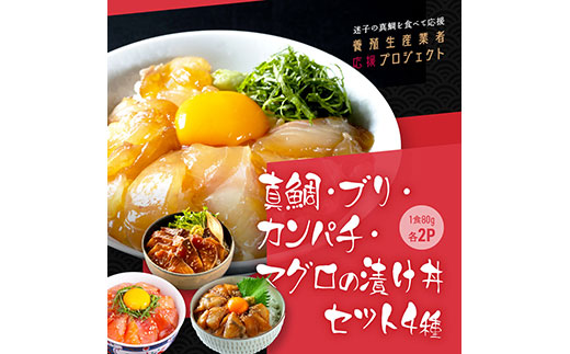 緊急支援 海鮮 真鯛・ブリ・カンパチ・マグロの漬け丼セット4種×2P《迷子の真鯛を食べて応援 養殖生産業者応援プロジェクト》応援 惣菜 そうざい 冷凍 保存食 小分け パック 高知 海鮮丼 一人暮らし〈高知市共通返礼品〉