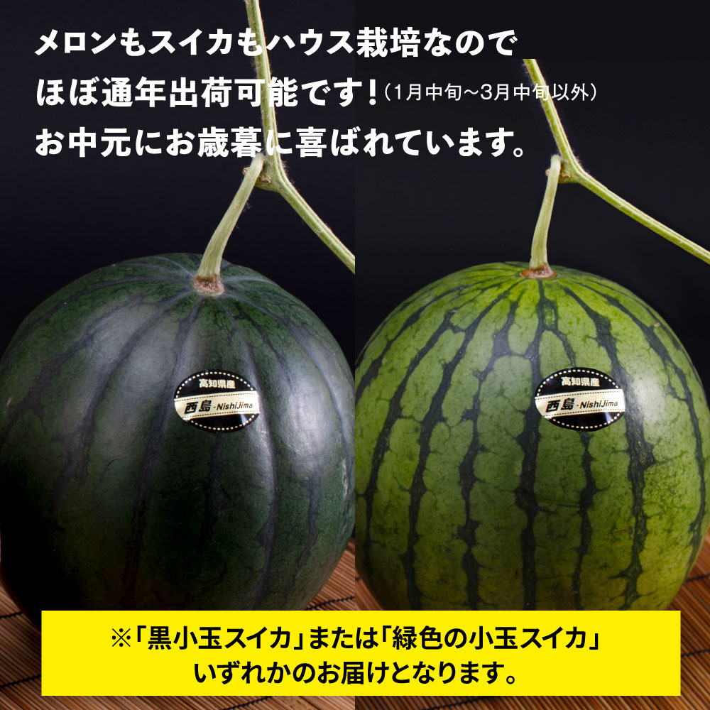 緊急支援　高知県産 高級マスクメロン＆小玉スイカセット〈南国市共通返礼品〉　【1月～3月は気候温度不安定の為出荷不可となります。】