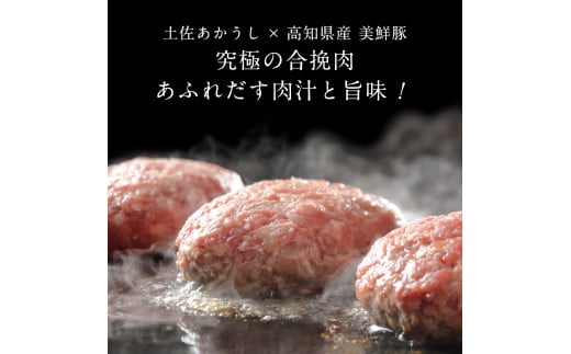 ＜高騰に伴い2025年1月1日以降、寄附額改定予定＞ 故郷納税《6か月定期便》人気惣菜 数量限定 牛肉 豚肉 創業50年老舗レストランの幻の和牛あかうしハンバーグ130g×8ケ＋特製デミソース×2袋、特製トマトソース×2袋 焼くだけ 溢れる肉汁 土佐あか