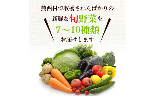 どっさり！新鮮野菜の詰合せ 7～10種類 ピーマン 茄子 なす ナス おまかせ 特産品 野菜 やさい 野菜セット おかず 健康 新鮮 詰め合わせ お楽しみ お取り寄せ 通販