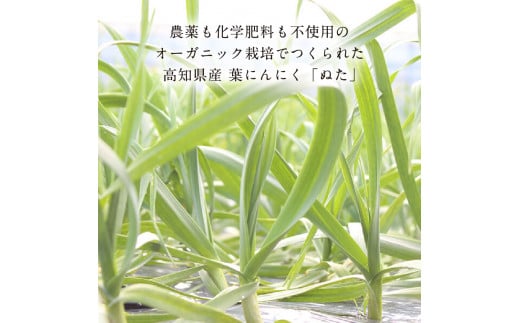 《3ヶ月定期便》芸西村厳選1本釣り本わら焼き「芸西村本気シリーズ〈極〉カツオのたたき（3～4人前）あの有名番組で紹介された有機無添加土佐にんにくぬた・タレ付き」数量限定〈高知市・土佐市共通返礼品〉