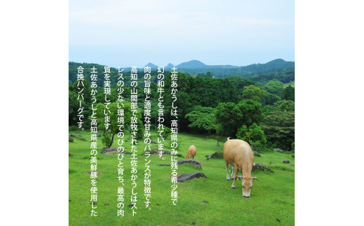 ＜高騰に伴い2025年1月1日以降、寄附額改定予定＞ 故郷納税《6か月定期便》人気惣菜 数量限定 牛肉 豚肉 創業50年老舗レストランの幻の和牛あかうしハンバーグ130g×4コ＋特製デミソース×1袋、特製トマトソース×1袋 焼くだけ 土佐あか牛