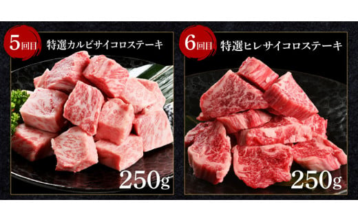 ＜6ヶ月定期便＞ 土佐和牛詰め合わせ6種（合計1.5kg）1.5キロ 赤身ブロック サイコロステーキ ロース カルビ ヒレ ブロック肉 特選 赤身 牛 牛肉 和牛 国産 エイジング工法 熟成肉