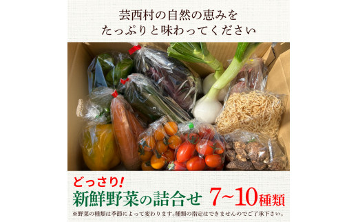 どっさり！新鮮野菜の詰合せ 7～10種類 ピーマン 茄子 なす ナス おまかせ 特産品 野菜 やさい 野菜セット おかず 健康 新鮮 詰め合わせ お楽しみ お取り寄せ 通販