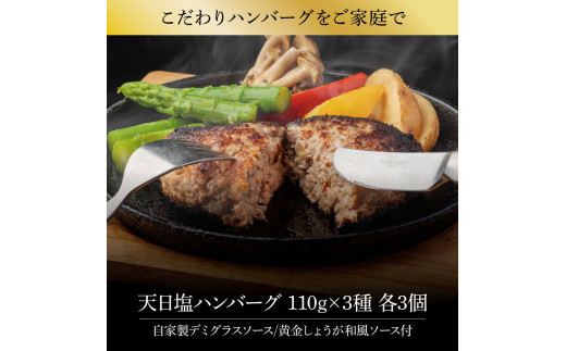 ＜高騰に伴い2025年1月1日以降、寄附額改定予定＞食べ比べ！天日塩ハンバーグ3種セット各3個(110g×3種) 合計9個 ハンバーグ 黒毛和牛 美鮮豚 天然塩 天日塩 デミグラスソース 和風ソース ソース付き 牛肉 豚肉 温めるだけ 冷凍 配送 国産 