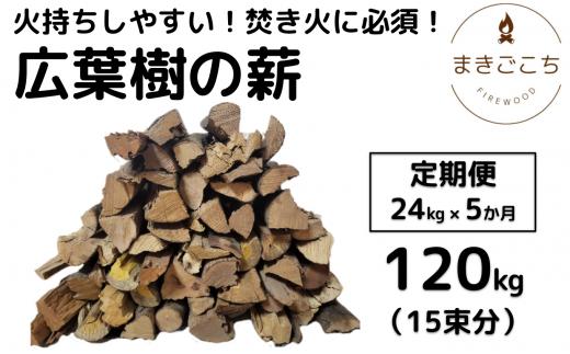 薪 24kg 24キロ 5ヶ月定期便 約35cm まき 広葉樹 乾燥 キャンプ アウトドア 料理 バーベキュー BBQ オーブン ストーブ 暖炉 焚火 たき火 焚き火台 熾火 燃料 ピザ窯 石窯【大月町共通返礼品】