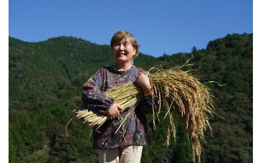 自家特別栽培大野見米を使った農家造り『どぶろく』セット