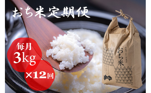 「おち米」定期便　(3kg × 12回)　産直　白米 