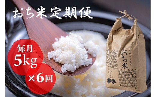 「おち米」定期便　(5kg × 6回)　産直　白米 