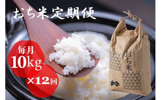 「おち米」定期便　(10kg × 12回)　産直　白米