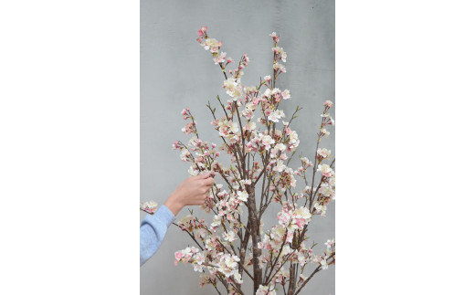 春にピッタリ！吉野桜3本立（造花）GW-964