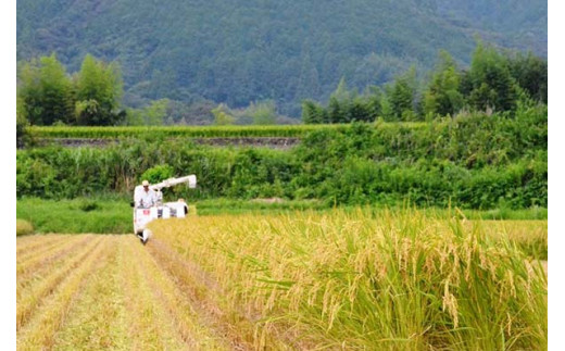 越知町産自然いっぱいで育った【早生米】 30kg 