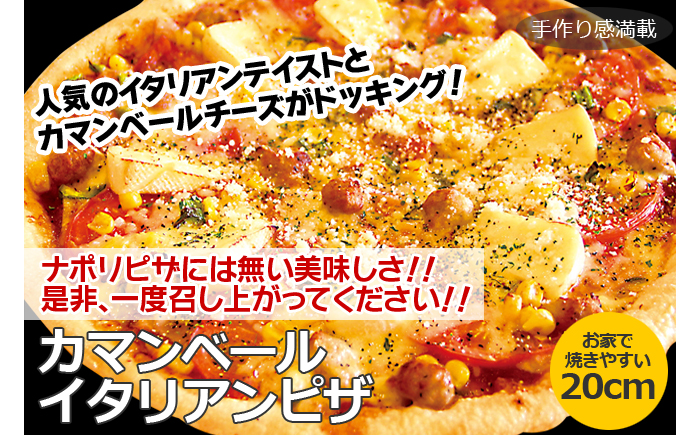 CT-002 職人さんの手作りピザ〜テリチキ、カマンベールイタリアン２枚セット〜