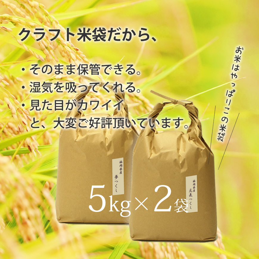 CW-039_福岡県産【特A米】元気つくし【A米】夢つくしの食べ比べ_各5kg×2袋 (10kg)【玄米】