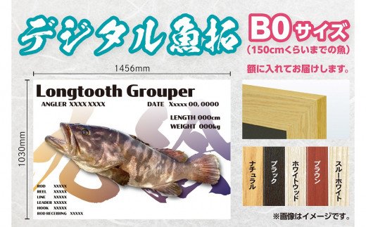 CM-016 【B０・デジタル魚拓】メモリアルフィッシュを釣れたてのままに。