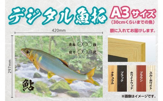 CM-011 【A３・デジタル魚拓】メモリアルフィッシュを釣れたてのままに。