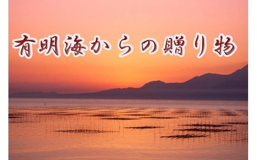 AN-009_有明海産のり特選優上焼のり10枚入×10袋＋味付のり