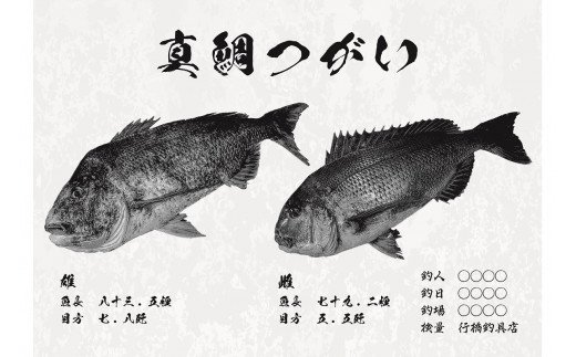 CM-014 【B３・デジタル魚拓】メモリアルフィッシュを釣れたてのままに。