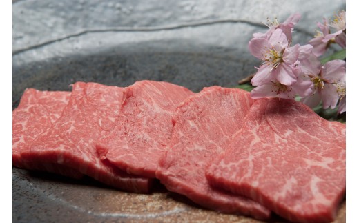 【A5ランク】 博多和牛・もも赤身焼肉用 300g【伊豆丸商店】_KA0202