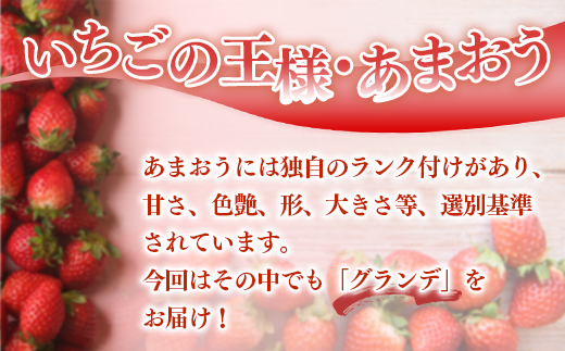 福岡県産 あまおう 1080g 送料無料 いちご 果物 フルーツ ギフト 季節限定 スイーツ ケーキ ブランド 先行予約 2024年12月より順次発送 TY050-2