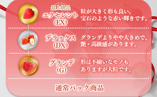 福岡県産 あまおう 1080g 送料無料 いちご 果物 フルーツ ギフト 季節限定 スイーツ ケーキ ブランド 先行予約 2024年12月より順次発送 TY050-2