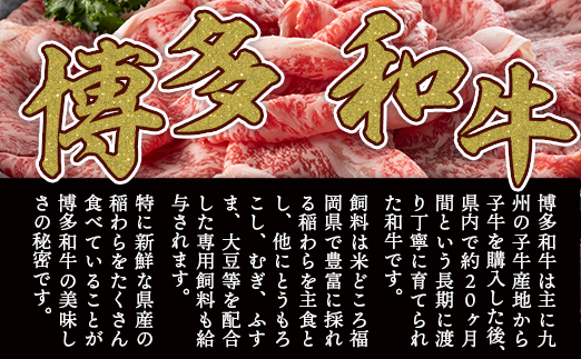 【厳選部位】博多和牛サーロインしゃぶしゃぶすき焼き用　1kｇ（500ｇ×2ｐ）DX036