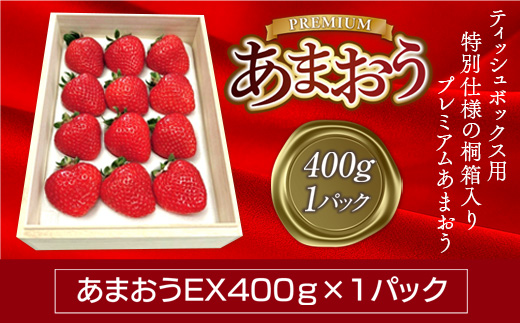 ティッシュボックス用特別仕様の桐箱入りプレミアムあまおう　あまおうEX400g×1パック　先行予約　※2025年2月上旬〜4月上旬にかけて順次出荷予定　MY010