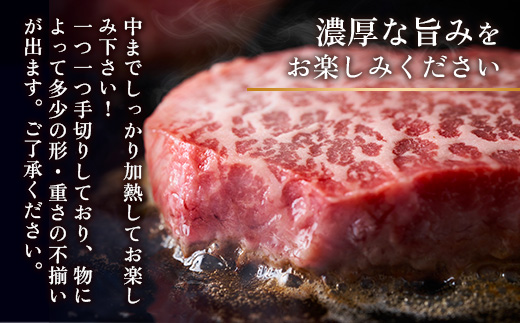 【A4〜A5】博多和牛モモステーキ　約1ｋｇ（100ｇ×10ｐ）DX047