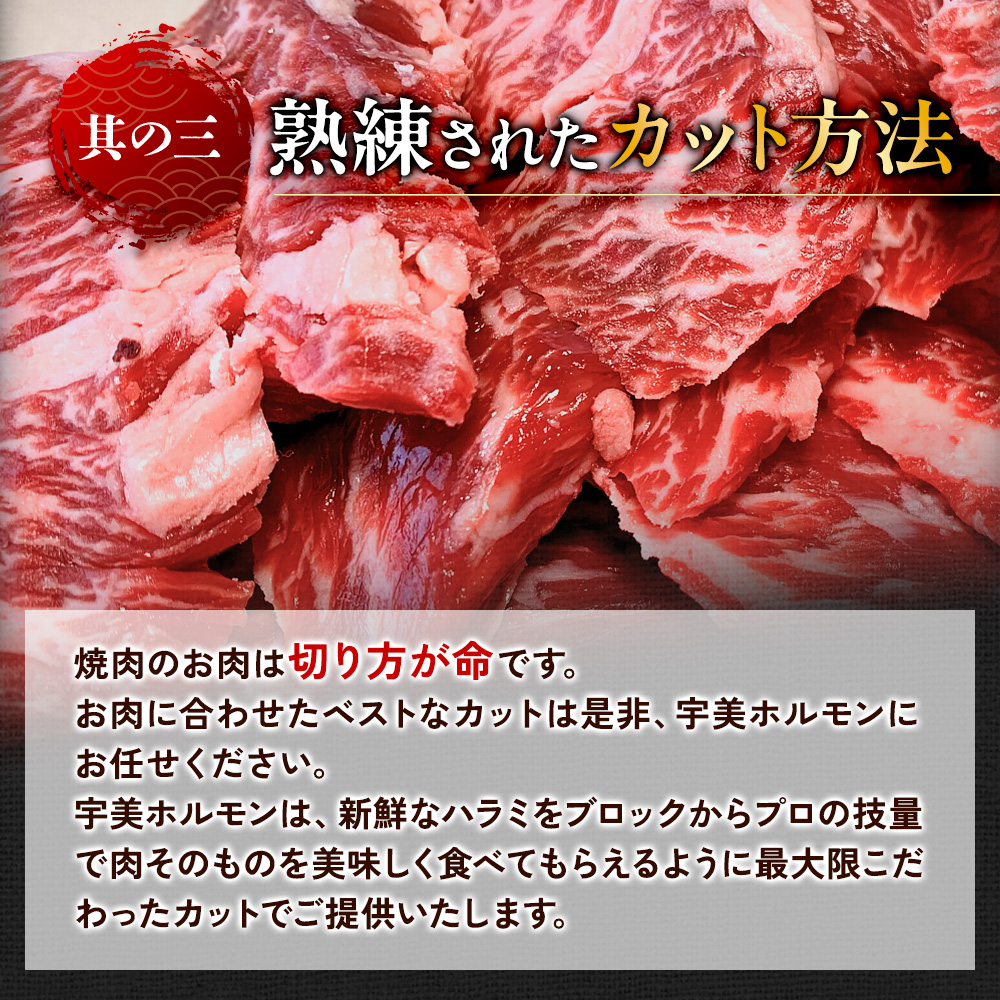 国産 特製たれ漬 牛ハラミ サガリ １kg JX003-4