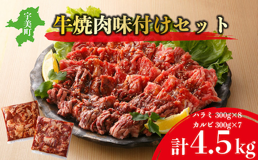 牛焼肉味付けセット約4.5kg　EZ011