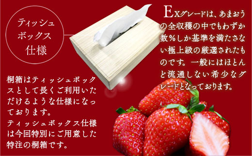 ティッシュボックス用特別仕様の桐箱入りプレミアムあまおう　あまおうEX400g×1パック　先行予約　※2025年2月上旬〜4月上旬にかけて順次出荷予定　MY010