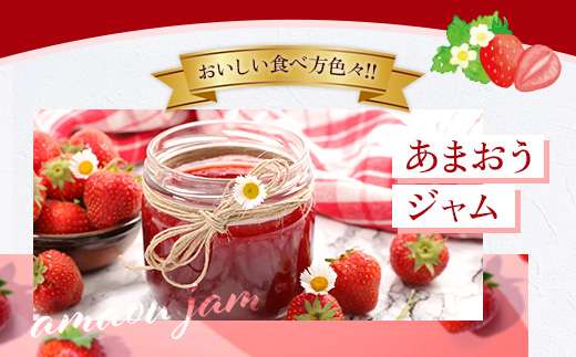 福岡県産 あまおう 1500g 送料無料 いちご 果物 フルーツ ギフト 季節限定 スイーツ ケーキ ブランド 先行予約 2025年2月より順次発送 TY052-3