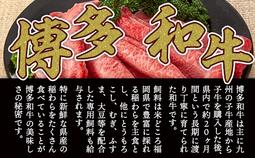 訳あり！【A4〜A5】博多和牛赤身霜降りしゃぶしゃぶすき焼き用（肩・モモ）800g DX038